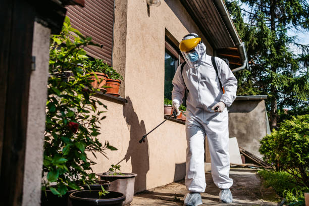 Best Pest Removal Services  in Des Plaines, IL