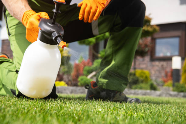 Best Pest Inspection Near Me  in Des Plaines, IL