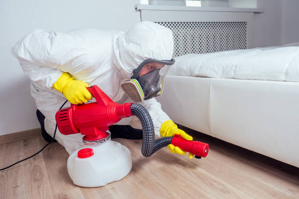 Best Pest Control Near Me  in Des Plaines, IL