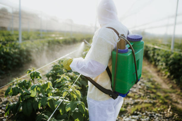 Best Wildlife Control Services  in Des Plaines, IL